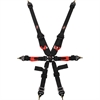 Pro-Series Euro Cam 6-Point FIA Rated Harness - image 1