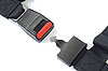 Tuner Belts 2" - image 3