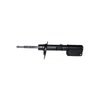 Premium Struts for 2000-2006 BMW X5 - image 3