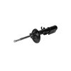 Premium Struts for 2000-2006 BMW X5 - image 4