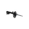 Premium Struts for 2008-2013 Nissan Murano - image 2