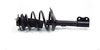 Fully Loaded Strut Assembly for 2004-2006 Lexus RX330 & 2007-2009 Lexus RX350 [Rubber Dust Tube] - image 2