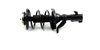 Fully Loaded Strut Assembly for 2003-2005 Honda Civic & 2001-2003 Acura EL [Rubber Dust Tube] - image 2