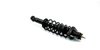 Fully Loaded Strut Assembly for 2007-2010 Jeep Compass & 2007-2010 Jeep Patriot [Rubber Dust Tube] - image 3