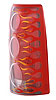 Proteeza Taillight Cover  Clear w/Flames - image 1