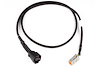 HT-010726 LSU4.9 Wideband Adaptor Harness, LSU 4.9 to DTM6 - image 1