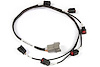 HT-130345 Elite 2000/2500 Ignition Harness, Ford-Barra 4.0 BA/BF - image 1