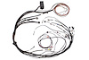 HT-140878 Elite 1000/1500 S4/5 Terminated Harness Only, IGN-1A Ignition, Mazda 13B - image 1