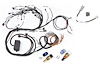 HT-141226 RB Twin CAM Main Harness, CAS Breakout, No Ignition Breakout - image 1