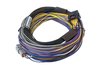 HT-150402 Elite 550 ECU + Basic Universal Wire-in Harness Kit, Universal 1-8 Cyl. or 2-Rotor Applications - image 4