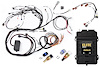 HT-151308 RB Twin CAM Elite 2500 ECU, Main Harness, CAS Breakout, Early - image 1