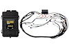 HT-151360 Elite 2500 Terminated Harness Kit, EV1, GM GEN III LS1 non DBW