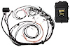 HT-151368 Elite 2500 Terminated Harness Kit, Ford Falcon BA/BF-Barra - image 1