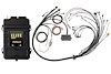 HT-151376 Elite 2500 Terminated Harness Kit, EV1, V8 Big & Small Block - image 1