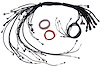 HT-186206 Nexus R5 Terminated Harness, GM LSX Non DBW - image 1