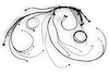HT-186500 Nexus Rebel LS Terminated Harness for Nexus Rebel LS ECU