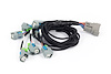 HT-186502 Nexus Rebel LS EV6 Injector Sub-Harness