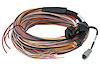 HT-188000 PD16 Flying Lead Harness, 5m (16') - image 1