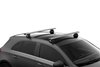 Evo Fixed Point - image 2