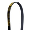 1050594 Serpentine Belt, Select Mercedes-Benz; INFINITI, K Profile, 5 Ribs, 59.4 in. Effective Length - image 2