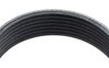 1070410 Serpentine Belt, Select BMW; Nissan; INFINITI, K Profile, 7 Ribs, 41 in. Effective Length - image 4