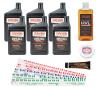 Engine Assembly Lubrication Kit PLUS Includes: (6) Driven BR30 Break-In Oil
