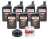FR20 5W-20 Synthetic Oil Change Kit 2009-Up Dodge Challenger 5.7L/6.2L Hemi - image 1