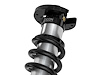 COILOVER ASSEMBLY