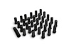 ICON ALLOYS LUG NUT KIT B