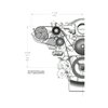 20-142 LS A/C Accessory Drive Kit SD7 A/C Compressor - image 3
