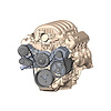 Polished Mid-Mount LS7 Complete Accessory System - Dry Sump Accessory Drive Belt Kit - image 1