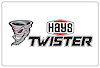 HAYS TWISTER DECAL - image 1