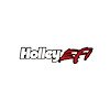 36-503 HOLLEY EFI DECAL 2.75X12 - image 1