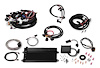 550-615 Terminator EFI LS Multi-Port Injection System 1997-2007 4.8/5.3/6.0 Truck Engines with 24x crank reluctor - image 1