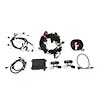 550-616N 2V FORD MODULAR EFI KIT - image 1