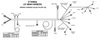 558-102 Main Harness for GM LS1, LS6 Engines w/Holley HP or Dominator EFI (24X Crank Reluctor) - image 3