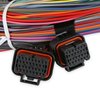 558-105 Dominator EFI Unterminated Wiring Harness - image 3
