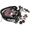 Main EFI Wiring Harness Late Model HEMI (Late Crank & Cam Sensors) - image 1