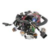 558-108 Main Harness 1999-04 4.6/5.4L 2/4V Ford Modular Engines - image 2