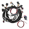 558-111 HARNESS TBI LSX 24X - image 1
