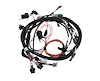 558-117 Universal MPFI Coil-on-Plug Main Harness - image 1