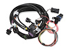 558-121 Terminator Stealth 2x4 Main Harness - image 1