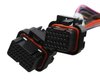 558-121 Terminator Stealth 2x4 Main Harness - image 2
