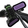 558-121 Terminator Stealth 2x4 Main Harness - image 4