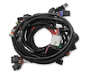 558-122 Ti-VCT EFI Main Harness for 2011-2014 Ford Coyote - image 1