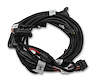 Ti-VCT EFI Sub Harness for 2011-2012 Ford Coyote - image 1