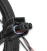 Ti-VCT EFI Sub Harness for 2011-2012 Ford Coyote - image 3