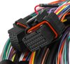 558-126 Unterminated Flying Lead Main Harness - image 2