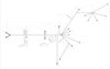 558-133 Extended Length Main Harness for GM LS1, LS6 Engines w/Holley HP or Dominator EFI (24X Crank Reluctor) - image 3
