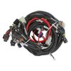 558-134 Extended Length Main Harness for GM LS2, LS3, LS7 Engines w/Holley HP or Dominator EFI (58X Crank Reluctor) - image 3